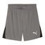 teamLIGA26 Shorts flatmediumgraypumawhitepumablack