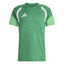 Tiro 26 Competition Trikot teagrn