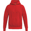 TS Hoody rot