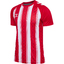 hmlMATCH STRIPED JERSEY S/S trueredwhite