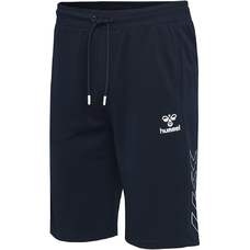 HMLJULIUS SHORTS-727202