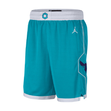 Hornets Icon Edition 2020 Men's Jordan NBA Swingman Shorts-2316485