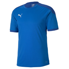 teamFINAL 21 Training Jersey-761706