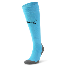 TEAMLIGA SOCKS CORE-956686