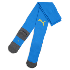 teamLIGA26 Socks Core-2444472